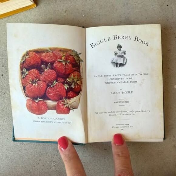 3 Antique Vintage Books Cooking Recipes Old Vintage Home Decor Rustic - Picture 8 of 9